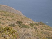 Enlarge photo 38