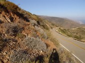 Enlarge photo 41