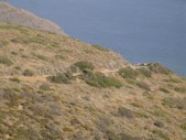 Enlarge photo 47