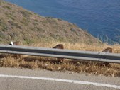 Enlarge photo 48