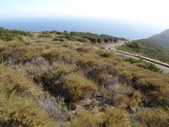 Enlarge photo 49