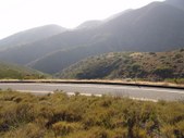 Enlarge photo 50