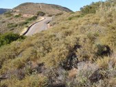 Enlarge photo 52