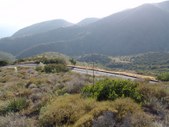 Enlarge photo 62