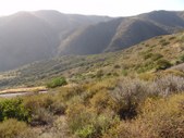 Enlarge photo 63