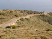 Enlarge photo 66