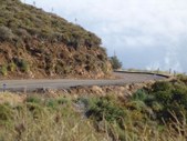 Enlarge photo 78