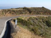 Enlarge photo 83