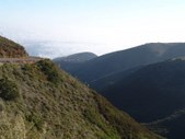 Enlarge photo 84