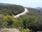 Enlarge photo 29
