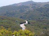 Enlarge photo 30