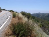 Enlarge photo 33