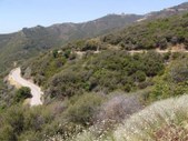 Enlarge photo 35