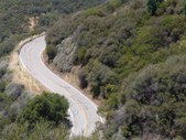 Enlarge photo 37