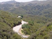 Enlarge photo 39