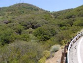 Enlarge photo 41