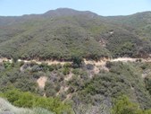 Enlarge photo 46