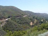 Enlarge photo 47