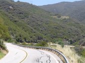 Enlarge photo 49