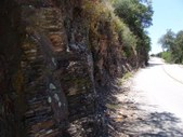 Enlarge photo 53