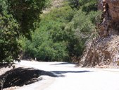 Enlarge photo 59