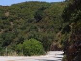 Enlarge photo 62