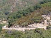 Enlarge photo 63