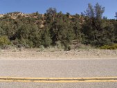 Enlarge photo 33