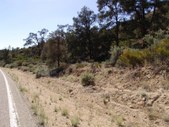 Enlarge photo 36