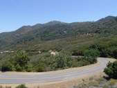 Enlarge photo 22