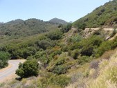 Enlarge photo 23