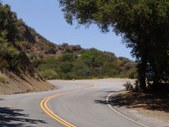 Enlarge photo 28