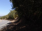 Enlarge photo 32