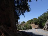 Enlarge photo 41