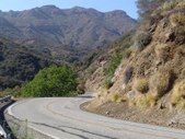 Enlarge photo 19