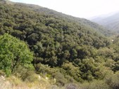 Enlarge photo 21