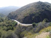Enlarge photo 22