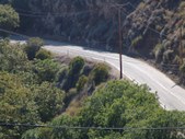 Enlarge photo 26