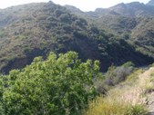 Enlarge photo 30