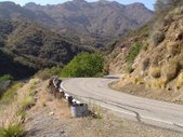 Enlarge photo 31