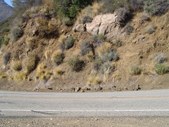 Enlarge photo 32