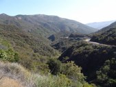 Enlarge photo 37