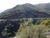 Enlarge photo 38
