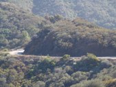 Enlarge photo 41