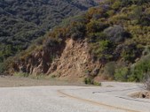 Enlarge photo 43