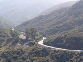 Enlarge photo 44
