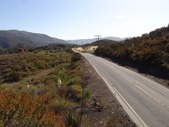 Enlarge photo 45