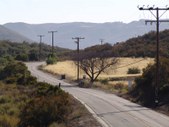 Enlarge photo 49