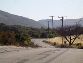 Enlarge photo 52