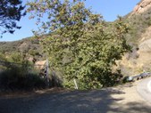 Enlarge photo 53